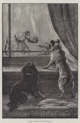 Seulement un visage à la fenêtre